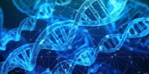 Dieta Dna Jídelníček