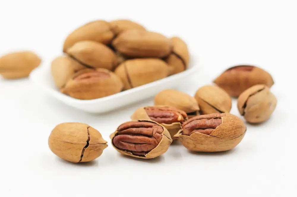 Pescience Protein